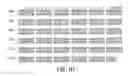 Fig. 09 - DNA construct encoding CE7-specific chimeric T cell receptor