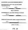 Fig. 43 - Nucleotide sequence encoding the enzyme I-SceI and the uses thereof