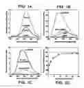 Fig. 02 - Isolated GRP94 ligand binding domain polypeptide and nucleic acid encoding same, and screening methods employing same