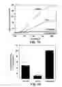 Fig. 07 - Isolated GRP94 ligand binding domain polypeptide and nucleic acid encoding same, and screening methods employing same
