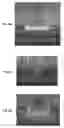 Fig. 07 - METHOD OF FORMING SEMICONDUCTOR DEVICE