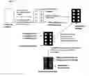 Fig. 07 - Novel strategy for selective regulation of background surface property in microarray fabrication and method to eliminated self quenching in micro arrays
