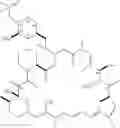 Fig. 02 - Oral formulations