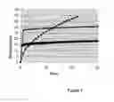 Fig. 02 - Gas Migration Prevention Solid Additive Based on Crosslinked PVA Microgel for Cementing Applications