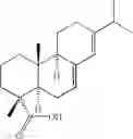 Fig. 02 - THICKENING AND WETTING AGENTS