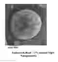 Fig. 01 - Multi-functional protective materials and methods for use
