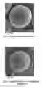 Fig. 02 - Multi-functional protective materials and methods for use