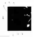 Fig. 07 - Method and system for displaying the electric field generated on the brain by transcranial magnetic stimulation