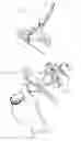 Fig. 03 - Bone fusion system and method