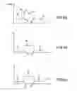 Fig. 04 - Filtering method for surface modeling