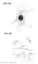 Fig. 05 - Ultrasonic imaging apparatus and a method for displaying diagnostic images