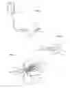 Fig. 02 - Oral Fluid Delivery or Sampling Device