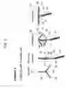 Fig. 07 - Ablation Catheters And Methods For Their Use