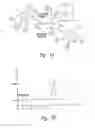 Fig. 02 - METHODS AND APPARATUS FOR EFFECTUATING A LASTING CHANGE IN A NEURAL-FUNCTION OF A PATIENT