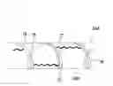 Fig. 01 - Stent coated with a sustained-release drug delivery and method for use thereof