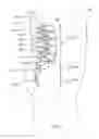 Fig. 02 - COMPLIANT INTERVERTEBRAL PROSTHETIC DEVICES WITH MOTION CONSTRAINING TETHERS