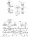 Fig. 02 - Templates and style sheets for audio broadcasts