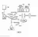Fig. 06 - Global anchor text processing