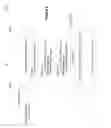Fig. 09 - DRM protected content sharing