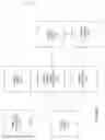 Fig. 44 - Four site triangular asynchronous replication