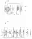 Fig. 33 - Toggling between concurrent and cascaded triangular asynchronous replication