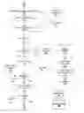 Fig. 01 - Providing CPU smoothing of cryptographic function timings