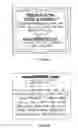 Fig. 09 - Feature codes and bonuses in virtual worlds