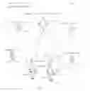 Fig. 02 - LOAD BALANCING SERVICE