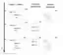 Fig. 01 - Method and system for generic display and use of an object