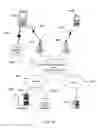 Fig. 13 - APPARATUS AND SYSTEM FOR MULTIMEDIA MEDITATION