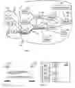 Fig. 02 - Data volume reporting for multimedia broadcast/multimedia service groups
