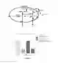 Fig. 07 - METHODS AND COMPOSITIONS FOR PROVIDING SA-INDEPENDENT PATHOGEN RESISTANCE IN PLANTS