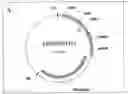 Fig. 01 - Expression cassettes for regulation of expression in monocotyledonous plants