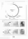Fig. 08 - Expression cassettes for regulation of expression in monocotyledonous plants