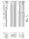 Fig. 02 - Plant genes encoding Dr1 and DRAP1, a global repressor complex of transcription