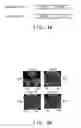 Fig. 08 - Plant genes encoding Dr1 and DRAP1, a global repressor complex of transcription