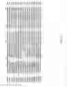 Fig. 04 - AXMI-008, a delta-endotoxin gene and methods for its use