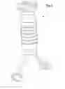 Fig. 03 - Vertical fore grip with bipod