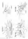 Fig. 07 - Walk-behind lawn mower