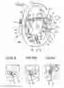 Fig. 07 - Steering Wheel for a Motor Vehicle