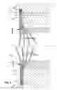 Fig. 03 - Separable structure material