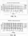 Fig. 02 - Polymeric charge adjuvants in electrostatic inks