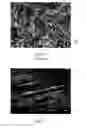 Fig. 02 - Damage tolerant microstructure for lamellar alloys