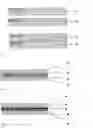 Fig. 02 - Process For the Production of Film Laminates For Composite Glazing of Partial Films of Different Compositions