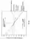 Fig. 07 - Method and system of electromagnetic stirring for continuous casting of medium and high carbon steels