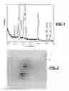 Fig. 02 - METHODS FOR MAKING METAL-CONTAINING NANOPARTICLES OF CONTROLLED SIZE AND SHAPE
