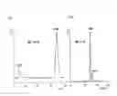 Fig. 01 - Mixed-modal anion-exchanged type separation material
