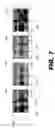 Fig. 07 - Labeling system