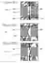 Fig. 06 - Sensor platform using a non-horizontally oriented nanotube element