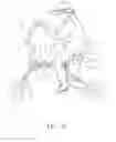 Fig. 06 - FOLDABLE BICYCLE